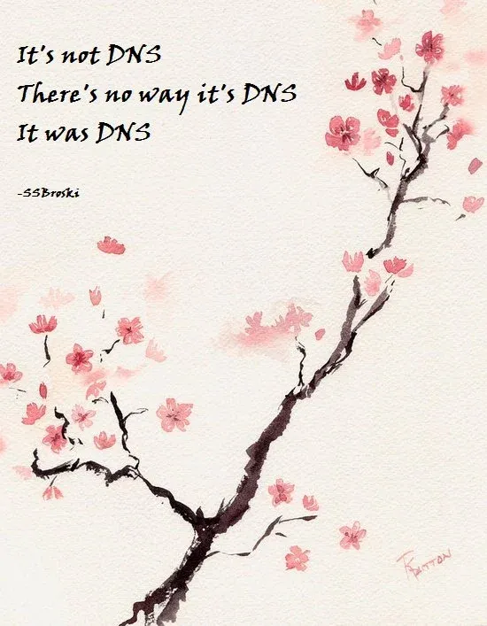 A haiku about dns: It's not DNS / There's no way it's DNS / I was DNS