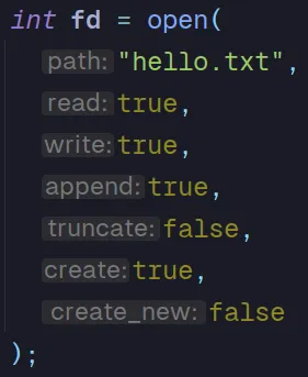inlay hints in c